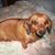 Margaret Wolleson Canada's profile image