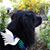 Bobbi Zook's profile image