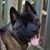 Sharon Crickmar's profile image