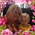 Karen McShea's profile image