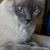 Cathi Smith's profile image