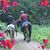 Val Ribble's profile image