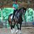 Kim Macfarline Hawkins's profile image