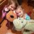 Caitlin Altrichter's profile image