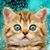 Bindy Montoya's profile image