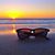 Sharon Chesser's profile image