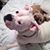 Michelle Popowich's profile image