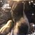 Helen Mondia Harvey's profile image