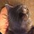 Thomas Duggleby's profile image