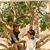 Marianet Diaz's profile image