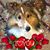 Linda Flynn Belbeck's profile image