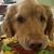 Susan Parent Tyler's profile image