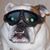 Tadd Bowman's profile image