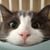 Ken Seiders Jr's profile image