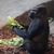 Jim Reed's profile image