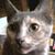 Kim Shelton's profile image