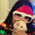 Maria Liatis's profile image