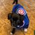 Kelly Zullo's profile image