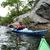 Kathy Defrancesco's profile image