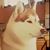 Linda Leigh Quarterman's profile image