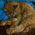 Kat Person's profile image