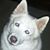 Lynn Ford Key's profile image
