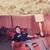 Penny Postlethwait's profile image