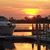 Sherry Syders Warner's profile image