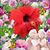 Rowena Casunuran's profile image