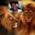 Dannette Rene's profile image