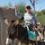 Lisa Farmer Crowe's profile image