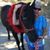 Sandie Jones's profile image