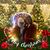 Karyn Mueller's profile image
