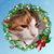 Kristine Buch's profile image
