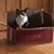 Marlene McIntyre's profile image