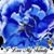 Karen Loose Johnson's profile image
