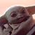 Alli Shutack's profile image