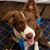 Kathy Gonder's profile image