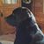Ernie Ashbaugh's profile image
