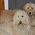 Denise Roth-Ludtke's profile image