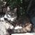 Jo Martha Ridge's profile image