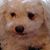 Rita Bernardo's profile image