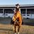 Brittany Wheeler McKerlie's profile image