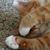 Debbie Garcia's profile image
