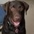 Christina G Trombley's profile image