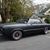 Mark Gresser Dpm's profile image