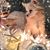 Linda Fisher's profile image