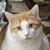 Gene Thornton's profile image