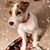 MaryJo Tuttle's profile image