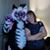 R.j. Schwind's profile image